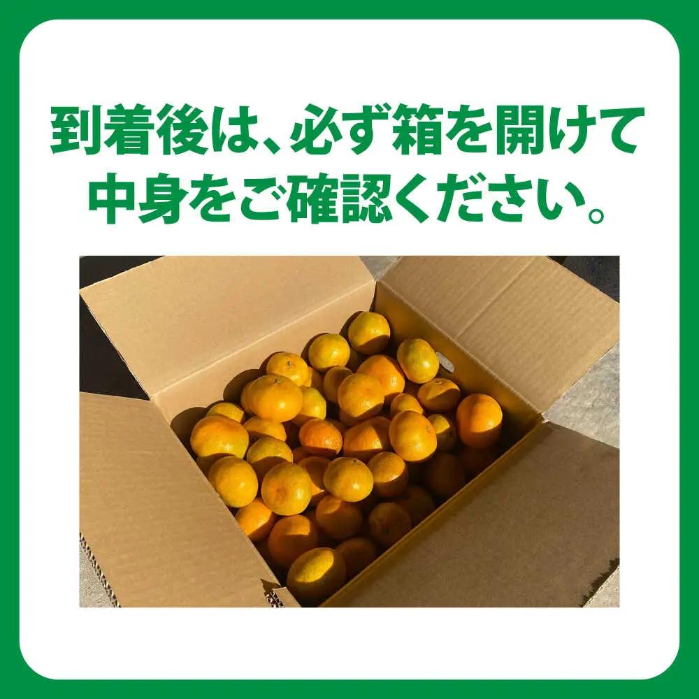 訳ありみかん 5kg 原口みかん[OBP002] 訳あり みかん