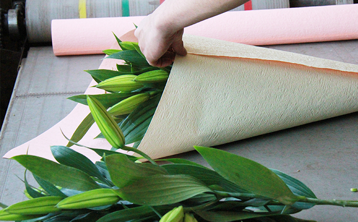 ユリ専門農家 猿子園芸 が贈る 雫石町産 白色 ユリ 20輪 以上 4本 ～ 5本 鑑賞用 ／ ゆり 百合 白 花 お花 花き 生花 フラワー フラワーアレンジメント プレゼント ギフト フラワーギフ