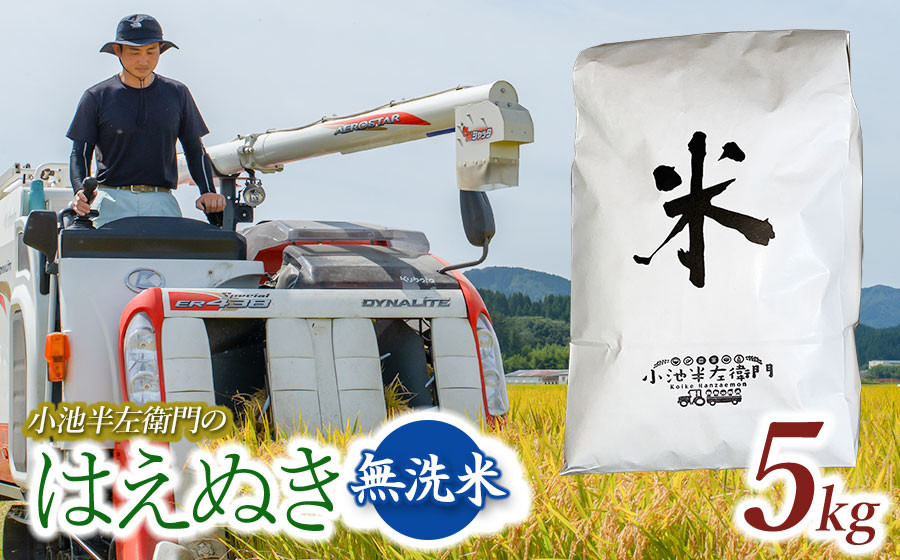 
                  数量限定 【令和7年産】 山形県庄内産 小池半左衛門のお米 はえぬき 無洗米 5kg (5kg×1袋)
                
