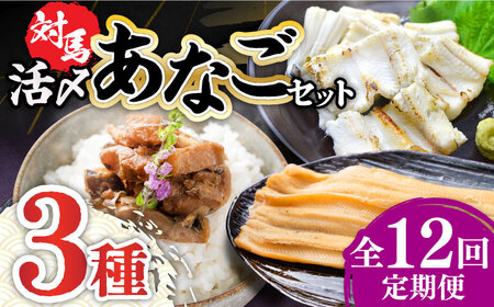 【全12回定期便】対馬 産 活〆 あなご セット [WAC020]  煮あなご 佃煮 アナゴ