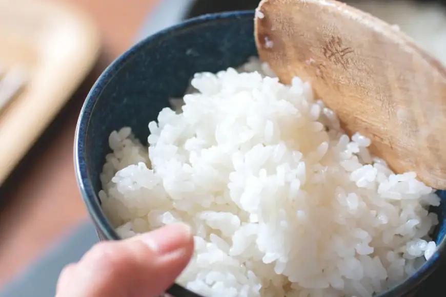 米 コシヒカリ 真空パック 精米 300g × 10袋
