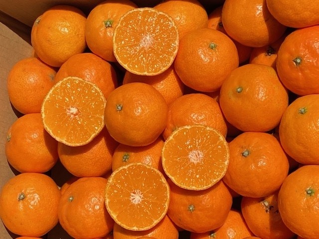 
                  クレメンティン3kg
                