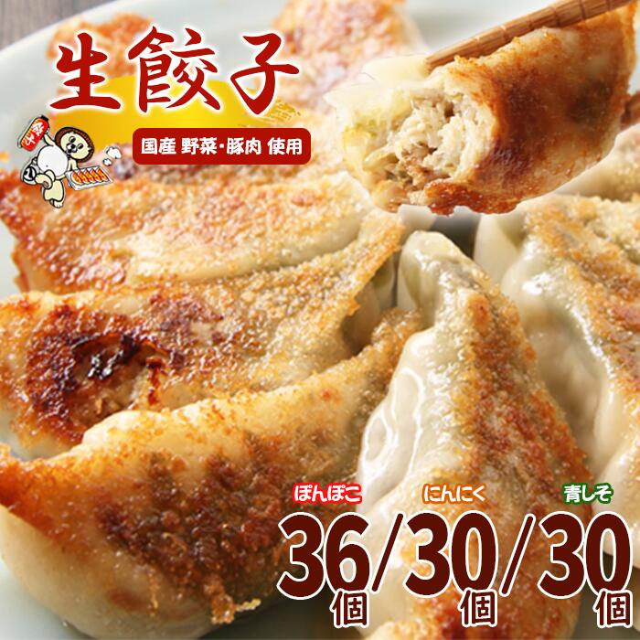 【ふるさと納税】 おすすめ 餃子 冷凍 生餃子 選べる 3種類 / スタンダード・にんにく・青しそ / 国産野菜 国産豚肉 総菜 おかず おつまみ 中華 冷凍食品 ぎょうざ ギョーザ ニンニク ニンニク抜き 青紫蘇 もっちり 焼くだけ 簡単 調理 夕ご飯 ビール 岩手県 滝沢市 送料無料