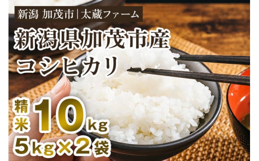 【令和7年産新米】新潟産 コシヒカリ 精米10kg（5kg×2袋） 《順次発送》 ミネラル豊富な土壌で育ったお米 加茂市  太蔵ファーム