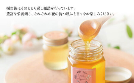 大西養蜂場 非加熱はちみつ そば  300g 1本 さくら 60g 1本  ／ はちみつ 蜂蜜 ハチミツ 国産 【大西養蜂場】