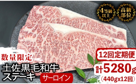 【定期便12回】土佐黒毛和牛サーロインステーキ 計5.28kg（440g×12ヶ月連続お届け) 2Tコース | 特撰 サーロイン肉 最上位等級 A4 A5 最高 ランク 贅沢 厚切り ステーキ用 焼肉用 キャンプ飯 国産 牛肉 高知県 須崎市 TM48000