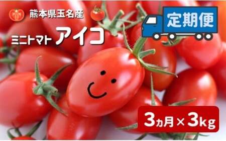 ミニトマト アイコ 【 3ヶ月 定期便 】 | 野菜 トマト とまと ミニトマト プチトマト 熊本 玉名 熊本県 玉名市産