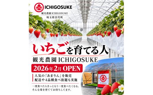 【先行予約】いちご あまりん 大粒 300g×2パック | 苺 イチゴ 大粒 埼玉県産 甘りん オリジナル いちご 苺 イチゴ ブランド苺 イチゴ フルーツ 甘い いちご イチゴ お取り寄せいちご イ