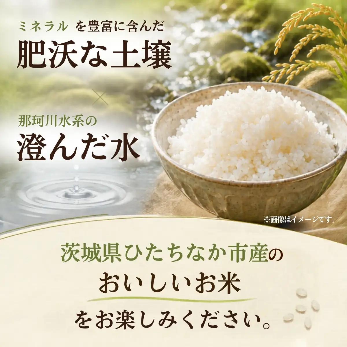 令和8年度米 コシヒカリ 玄米 5kg 農家直送 | 新米 令和8年 先行受付 期間限定 