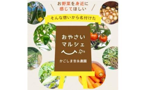 ZS-715 【訳あり】【数量限定】ママたちの想いをギュッ！薩摩で育ったほくほくじゃがいも（ニシユタカ） 10kg