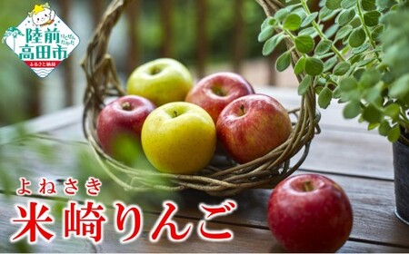 りんご 約5kg 品種おまかせ 果物 米崎りんご マルキヨファーム
