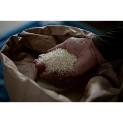 ふるさと納税 能美市 【毎月定期便】石川県産4種のお米食べ比べ定期便　10kg×4ヶ月連続全4回 |  | 02