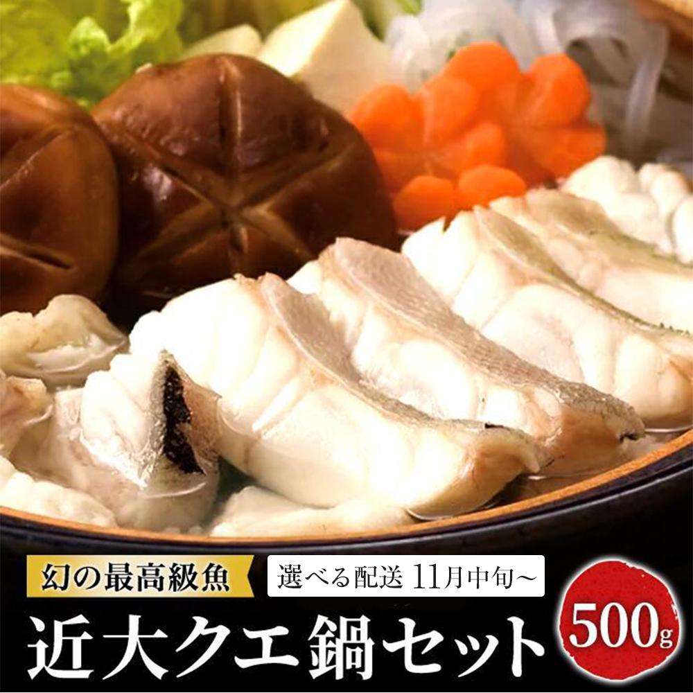 【ふるさと納税】近大クエ鍋セット ( 500g ）こだわりだしぽん酢付き【選べる配送時期】 | 取り寄せ お取り寄せ グルメ お取り寄せグルメ ご当地 ご当地グルメ 海鮮 魚介 くえ クエ 鍋 なべ 切り身 アラ 特産品 海の幸 クエ鍋セット 高級魚 あら 魚 白浜町