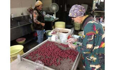 梅干しと季節の食べ物セット 無添加梅干し｜多気町産 TH-01