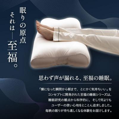 ふるさと納税 邑楽町 至福の睡眠 マシュマロフットピロー(ワイン)|09_emr-010101d |  | 01