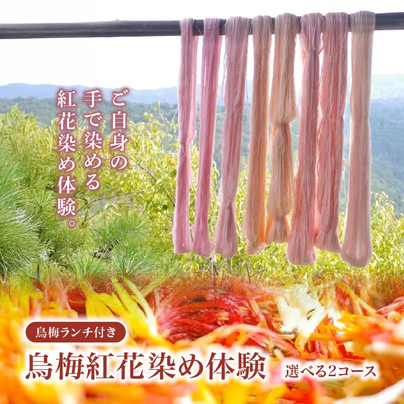 【ふるさと納税】 烏梅 紅花染め体験 ランチ付き 生地染めコース タペストリーコース 染め体験 烏梅 白雪ふきん ふきん 生地 染め タペストリー 家具 インテリア ランチ 昼食 家庭料理 烏梅茶 お茶 お食事 食事 チケット 券 体験チケット 梅古庵 奈良県 奈良市