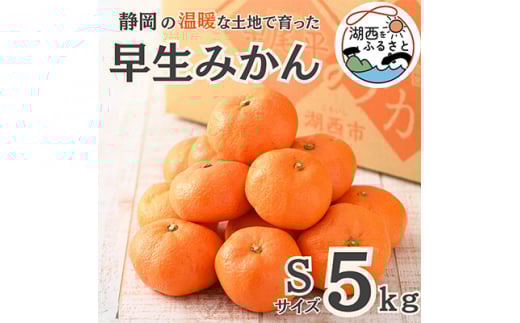 ＜先行受付＞＜11月上旬より順次出荷予定＞早生みかん約5kg Sサイズ〔鈴木農園〕【1510092】