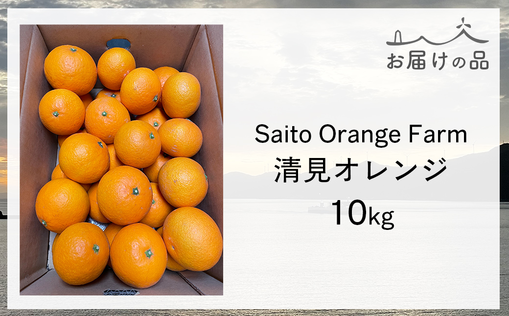【先行予約】Saito Orange Farmの清見オレンジ10kg（2027年3月中旬頃より順次発送予定） IKTAQ008
