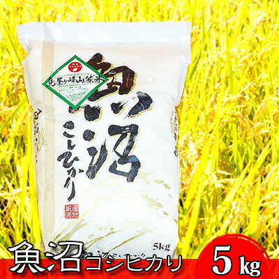【ふるさと納税】令和7年産 魚沼コシヒカリ 鳥屋ヶ峰山麓米（精米）5kg×1 お米 　お届け：寄附確認後、随時発送