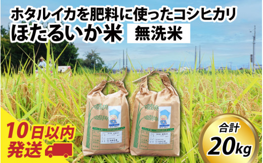 【訳あり】ほたるいか米（無洗米20kg）【通年発送】