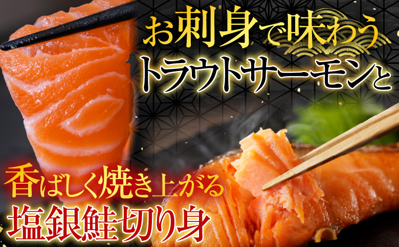 ＜12月14日決済分まで年内配送＞お刺身トラウトサーモン2～5本(計1kg)＆塩銀鮭切り身1切(約70g)×25P C-09045