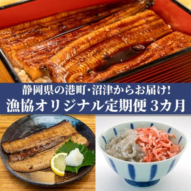 定期便 3回 オリジナルセット 3種  太刀魚 醤油干し しらす 桜えび うなぎ 蒲焼 漁業協同組合
