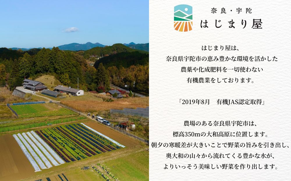 【期間限定】有機人参100％使用 人参ジュース 200ml×6本 ギフト／ にんじん 有機野菜 無添加 野菜ジュース はじまり屋 贈り物 奈良県 宇陀市 ふるさと納税