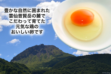 BI047 6回 定期便 どっさり！ 雲仙たまごLサイズ 160個(150個＋割れ補償10個入り)