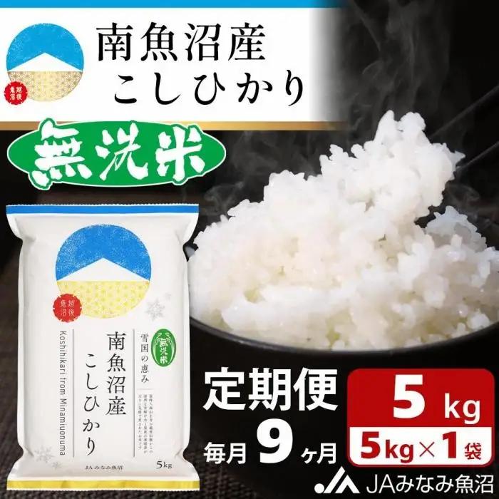 【JAみなみ魚沼定期便】南魚沼産こしひかり無洗米（5kg×全9回）｜無洗米