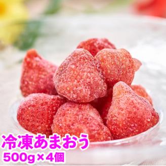 【2026年4月以降順次発送】福岡産冷凍あまおう500g×4袋(岡垣町)【配送不可地域：離島】