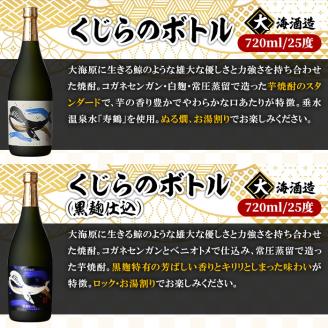 海の蔵「大海酒造」の飲み比べセット！A-1（合計6本）