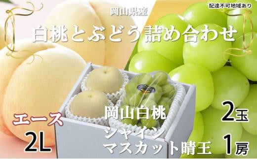 桃 ぶどう 2025年 先行予約 岡山 白桃 エース 2玉×約250g（2Lサイズ、早生種・中生種 ） シャイン マスカット 晴王 1房約500g 詰め合わせ｜フルーツ 果物 くだもの もも ぶどう モモ ブドウ 桃 葡萄 白桃 エース 早生種 中生種 シャインマスカット 晴王 2玉 1房 食品 人気 おすすめ 詰め合わせ 送料無料 ギフト 贈り物 贈答品 プレゼント