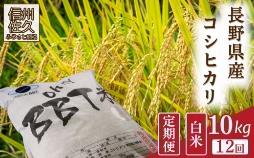 【令和7年産・白米10kg×12カ月定期便】特別栽培米　BBT米（五郎兵衛米）〈2025年9月中旬頃～順次発送〉 先行予約　新米　信州　こしひかり【 長野県 佐久市 】