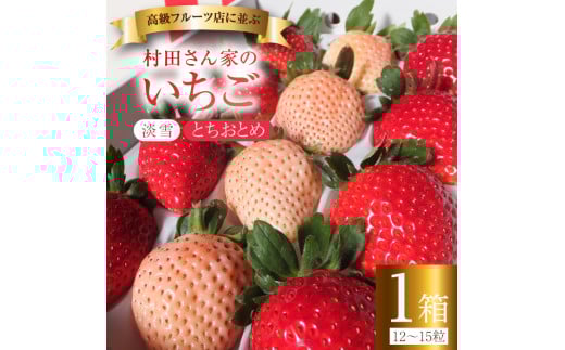 【3月発送】村田さん家のいちご 【幸白いちご】 (1箱12～15粒）