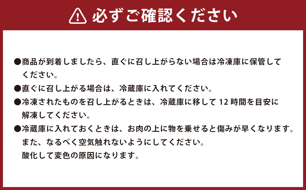 ごちそう九州牛 ハンバーグのジュー 10個入り