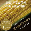 【ふるさと納税】信濃町名産とうもろこし『ファームかずとのゴールドラッシュ 10本セット』2025年夏の予約受付開始！｜2025年8月上旬のお届け予定　朝採れのトウモロコシを生産者から直送【長野県信濃町ふるさと納税】