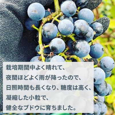 ふるさと納税 上富良野町 レラカント　750ml×1 |  | 01