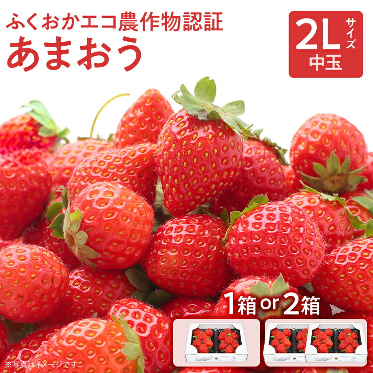 【ふるさと納税】ふくおかエコ農作物認証あまおう 2Lサイズ【選べる】 あまおう イチゴ 苺 いちご フルーツ 果物 くだもの 福岡県産 お取り寄せグルメ お取り寄せ 福岡 お土産 九州 福岡土産 取り寄せ グルメ 福岡県