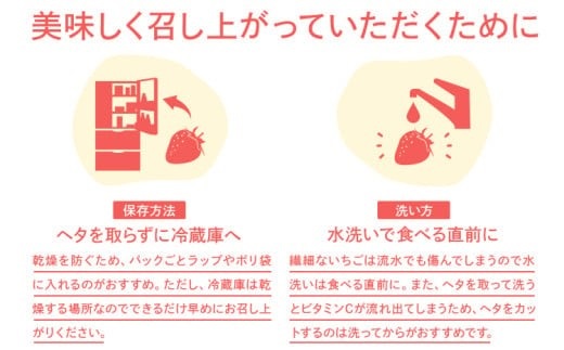 【2026年2月～2026年3月順次発送】あまおう 合計約1,080g 約270g×4パック DX