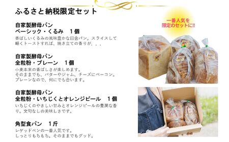 自家製酵母パン3個&角型食パン1斤セット(ベーシック・クルミ、全粒粉・プレーン、全粒粉・イチジクとオレンジピール)・ 全粒粉 パン 薪のかまどのパン屋さん 国産の良質な小麦粉 糸魚川 レゲッドベン 薪