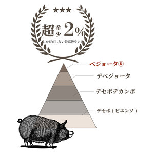 イベリコ豚入りソーセージ　3kg(500g x 6p) [AU102]
