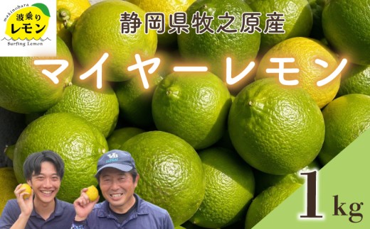 【国産】牧之原産 波乗りレモンマイヤーレモン 1kg 国産 Lemon 檸檬 柑橘類 柑橘 フルーツ 果物 酸っぱい 果肉 酸味  防腐剤不使用 自宅用 贈答品 レモンスカッシュ レモンパウンドケーキ レモンサワー くだもの 家庭用 静岡県産 農家直送 産地直送 産直  グリーンレモン イエローレモン おすすめ 美味しい まいやーれもん  静岡県 牧之原市