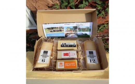 熟成チーズ　５種セット