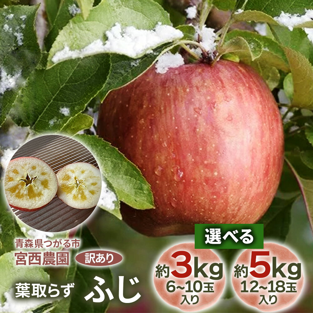 【ふるさと納税】[訳あり] 葉取らず ふじ 3kg／5kg｜令和8年 2026年 訳アリ 訳あり 家庭用 青森産 津軽 つがる りんご リンゴ 果物 フルーツ ふじ フジ 青森りんご マタニティフード認定 [1055-1057]