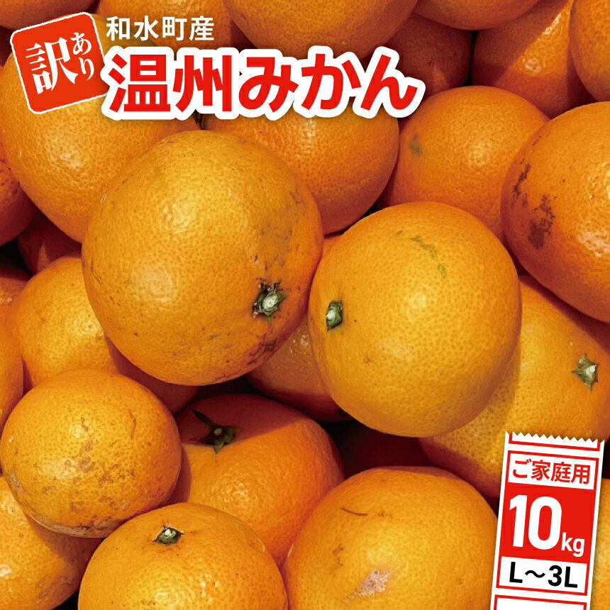 【ふるさと納税】【 先行予約 】【 訳あり 】期間限定 大玉 温州みかん 和水町産 ご家庭用 約 10kg | キズ 傷 スレ L 2L 3L フードロス 農家支援 災害支援 果物　冬 家庭用 フルーツ 柑橘 SDGs 食品 熊本県 熊本 くまもと 和水町 なごみまち なごみ 大玉 大玉みかん ミカン