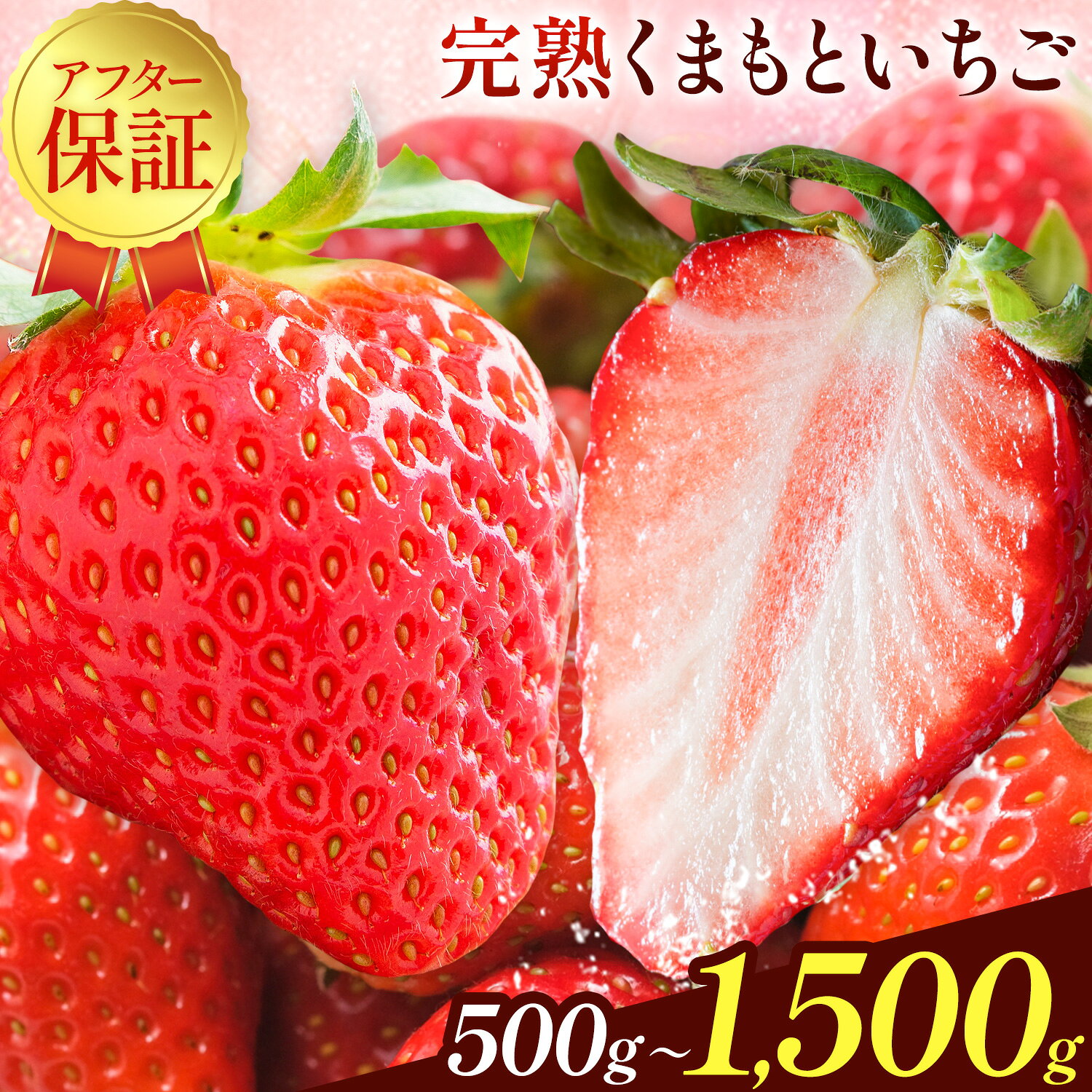 【ふるさと納税】先行予約 完熟 くまもといちご 苺 ゆうべに 選べる内容量 約500g 約1kg 約1.5kg（約250g×2-6パック）熊本 いちご 苺 イチゴ 熊本県 氷川町 ゆうべに《2月上旬-3月末頃出荷》熊本県 氷川町 果物 フルーツ 先行 予約 アフター保証 ふるさと納税 おすすめ