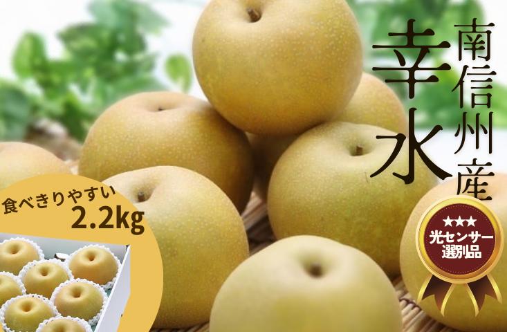 
            JA28-25A 梨 幸水 約2.2kg／2025年8月中旬～9月上旬ごろ配送 //長野県 南信州 糖度センサー選別 厳選 新鮮 和梨 なし 贈答 ギフト 約2kg
          