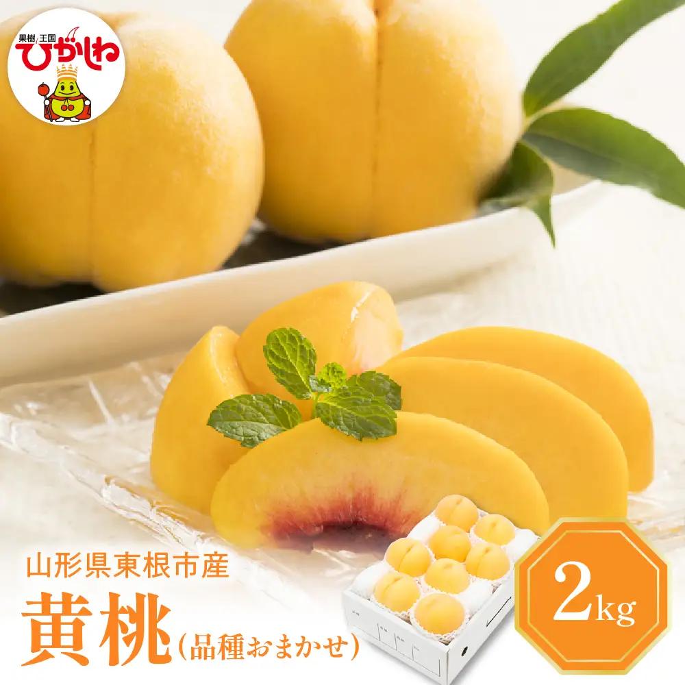 【2026年産先行予約】黄桃(品種おまかせ)2kg 秀品 桃 黄桃