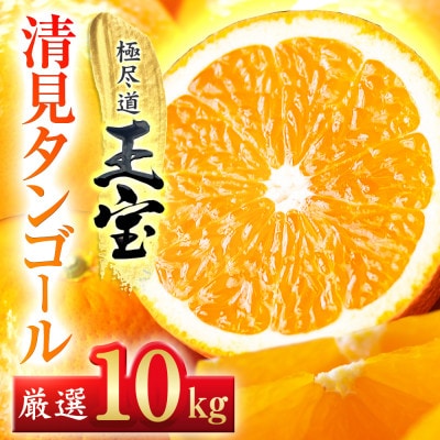 【愛媛名産】玉宝清見タンゴール　10kg【F64−36】【1510855】
