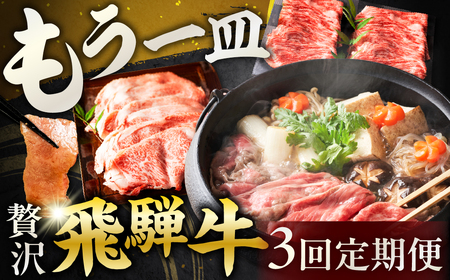 【定期便】贅沢飛騨牛 もう一皿 定期便 3回お届け